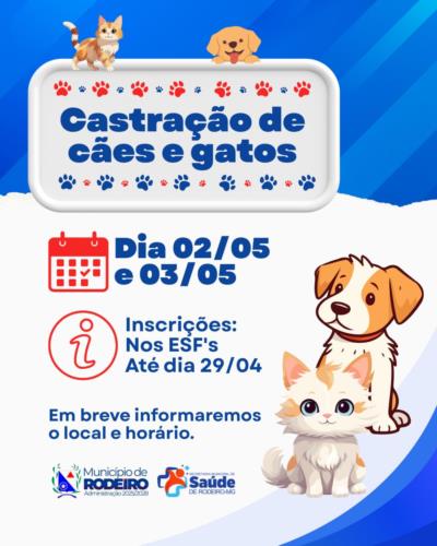Castração de Cães e Gatos em Rodeiro