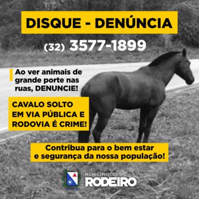 Prefeitura cria Disque-denúncia para o recolhimento de animais soltos em vias públicas