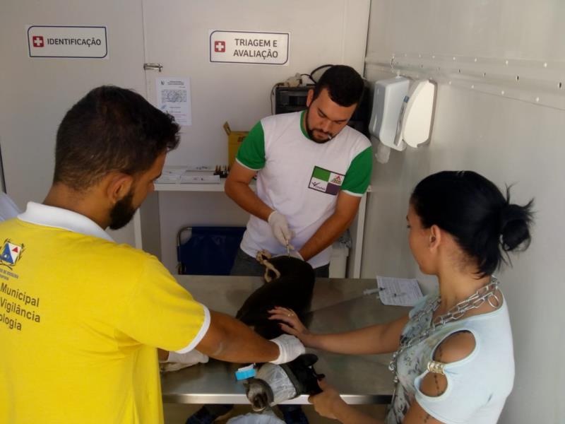 Programa de Castração de Cães volta à Rodeiro